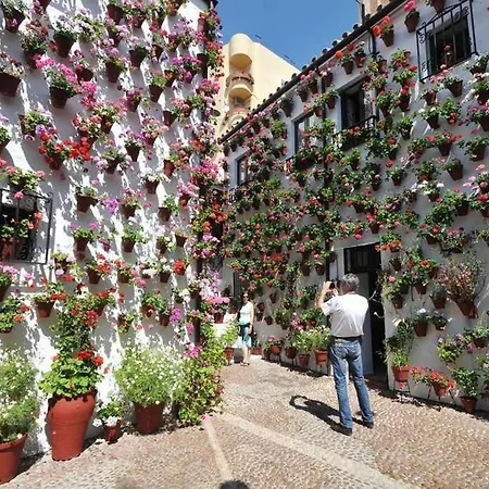 Suenos De La Juderia Cplace Ecologico * Cordoue